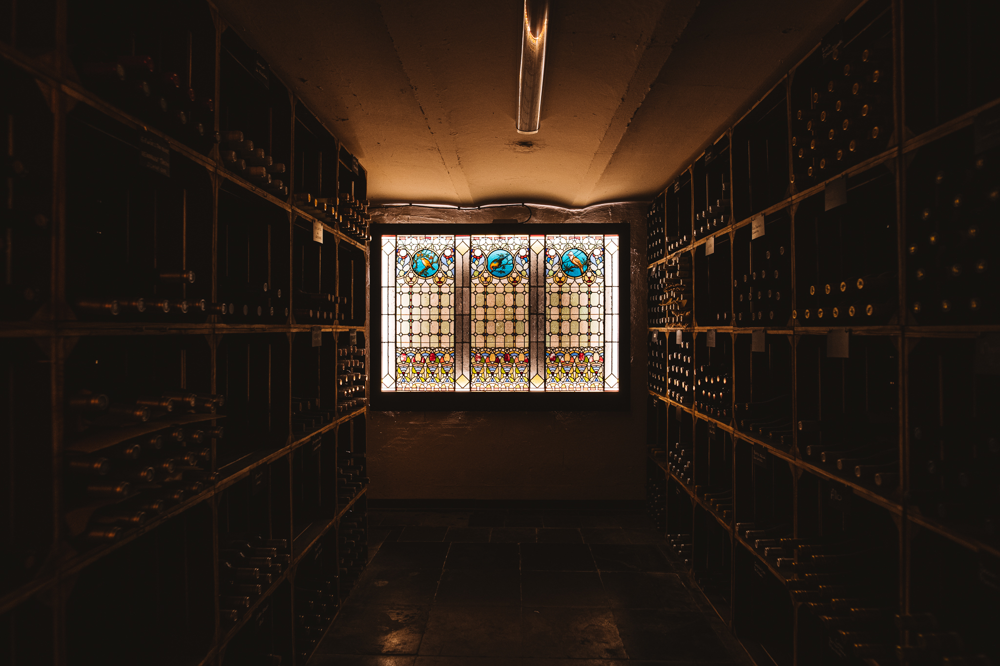 Wines Founders Bar Maastricht